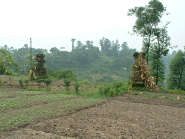 chengdu-2004-239.png